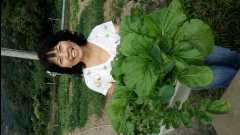 20131124 Organic Farm41